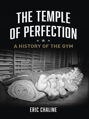 cover image of The Temple of Perfection
